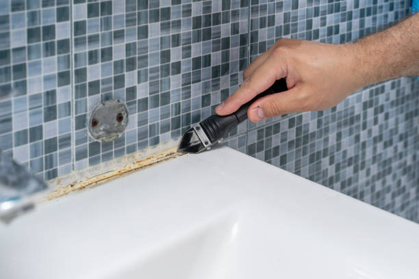 Best Residential Mold Removal  in Ruch, OR